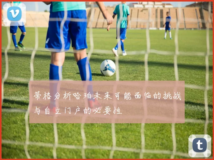 蒂格分析哈珀未来可能面临的挑战与自立门户的必要性